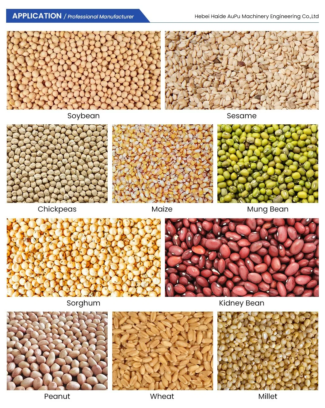 Grain Seed Cleaner and Grader 30t/H Large Capacity Wheat Cleaning Equipment with Gravity Table