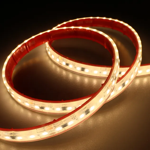 AC 110/220 2835 LED Strip