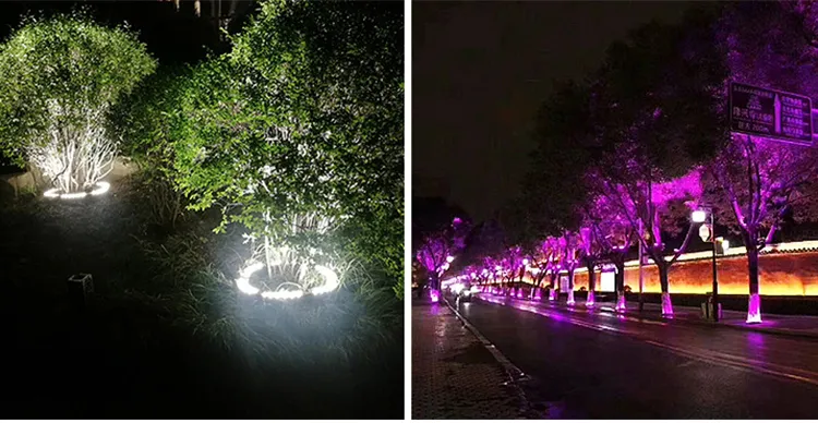 تأثير ضوء هوج تري LED