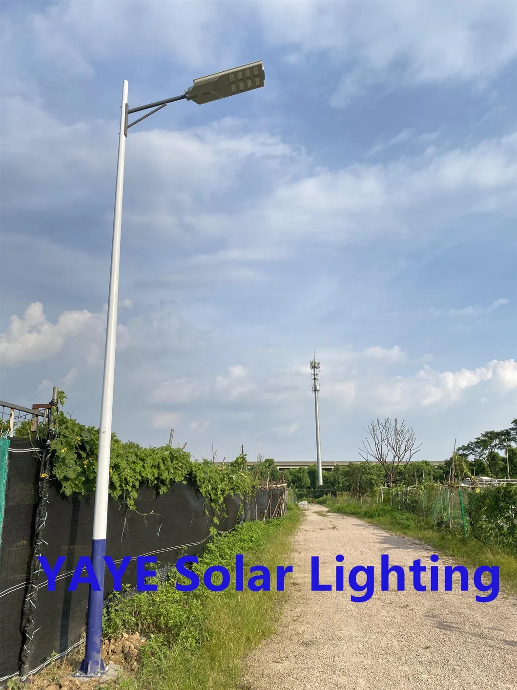 مصنع الطاقة الشمسية في الصين من الألمنيوم 2000/1000/800/600/500W/400/300/200/100W مستشعر LED IP66 شارع خارجي متكامل مع كاميرا مصباح حديقة LED COB من ABS مصباح فيضان على الجدار للطريق