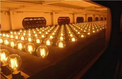 حديقة خارجية 12V/24V مصباح LED خيوط ضوئية مصباح عتيق LED 2W 4W 6W 8W مصباح إيديسون LED كهرماني ضوء زخرفي مصباح عتيق E27 E14 B22 B15 مصباح خيوط LED