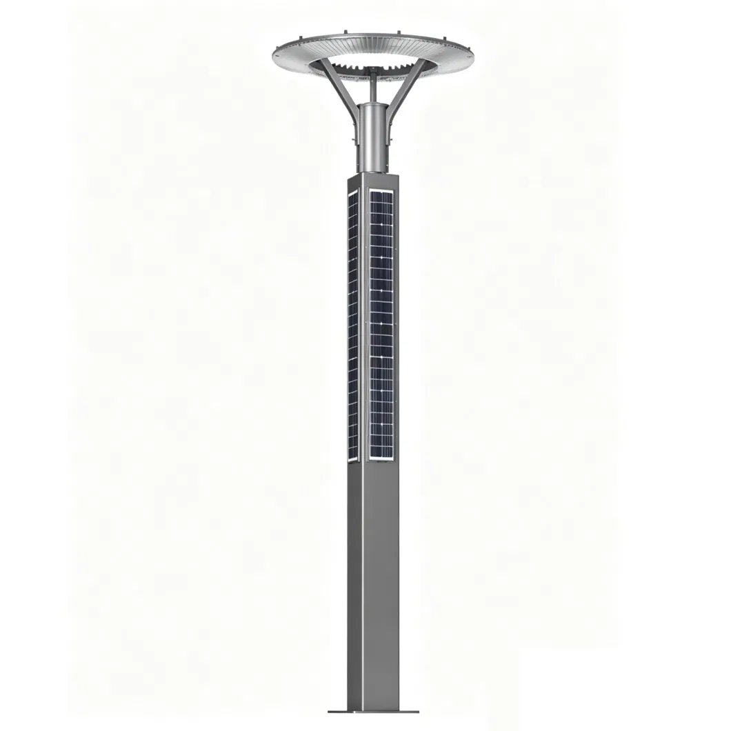 ضوء حديقة شمسي 200W 300W 100W 50W ضوء حديقة LED شمسي 3m 4m 5m ارتفاع لضوء حديقة شمسي LED مصباح عمود شمسي قابل للشحن