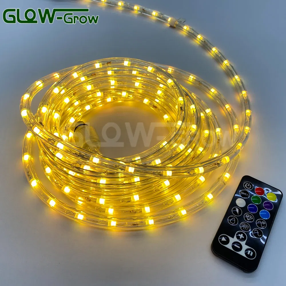 مزود 18FT 2 ضوء خيط عيد الميلاد RGB LED مع جهاز تحكم عن بعد لتزيين المنزل والحديقة وحفلات الزفاف