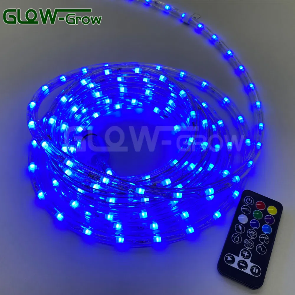 مزود 18FT 2 ضوء خيط عيد الميلاد RGB LED مع جهاز تحكم عن بعد لتزيين المنزل والحديقة وحفلات الزفاف