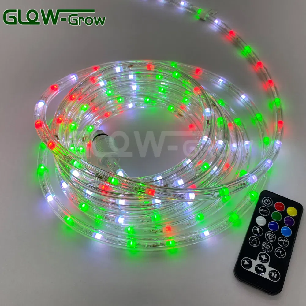 مزود 18FT 2 ضوء خيط عيد الميلاد RGB LED مع جهاز تحكم عن بعد لتزيين المنزل والحديقة وحفلات الزفاف