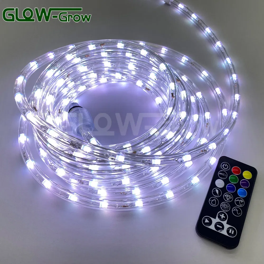 مزود 18FT 2 ضوء خيط عيد الميلاد RGB LED مع جهاز تحكم عن بعد لتزيين المنزل والحديقة وحفلات الزفاف