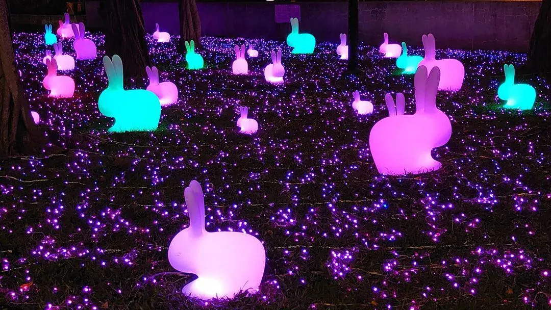 أضواء حديقة خارجية ملونة على شكل أرنب بتقنية دي إم إكس RGB