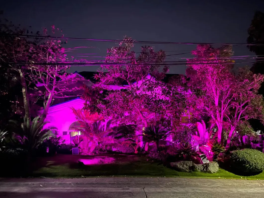 IP65 ضوء حديقة خارجي يعمل بالطاقة الشمسية مقاوم للماء مع تحكم عن بعد ضوء فيض LED بالجملة مع RGB