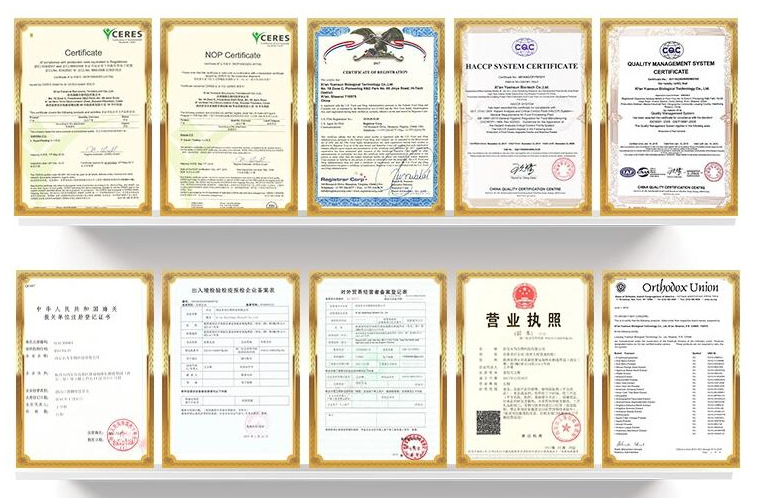 Product Certifications