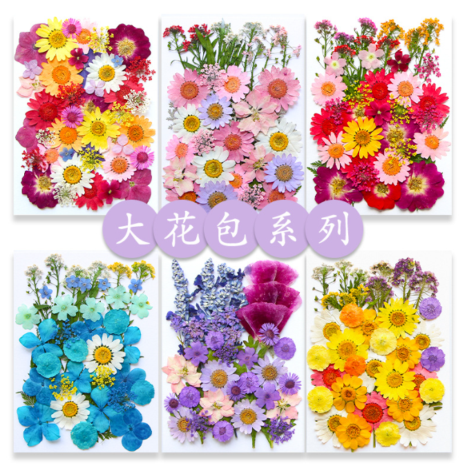 Dried Pressed Flower Style 1