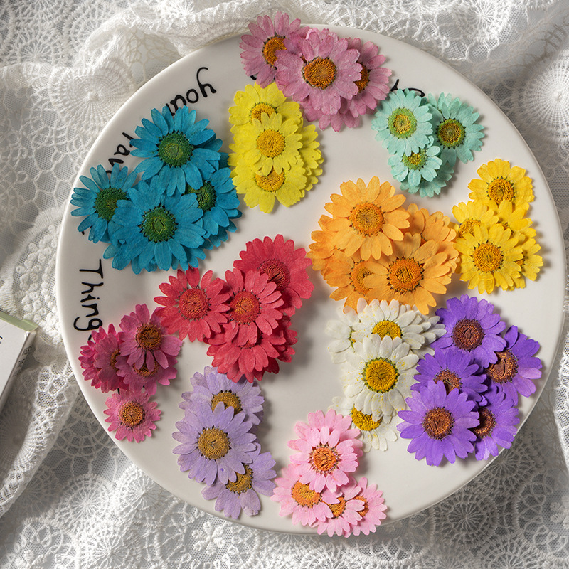 Dried Flower 3