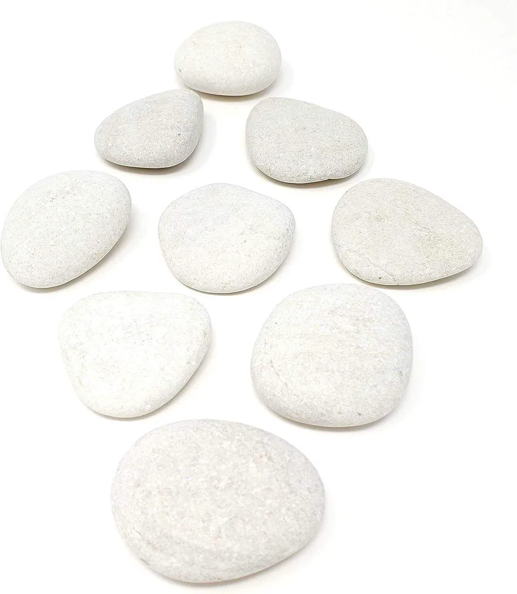 Rock Painting Kit Glow in The Dark Paints
