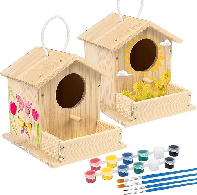 DIY Pine Wooden Birdhouse Craft Kit for Kids-Paintable Educational Toy Wall Hanging Christmas Gift for Boys