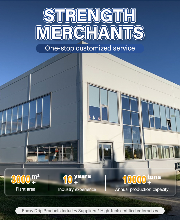 Company Profile 1