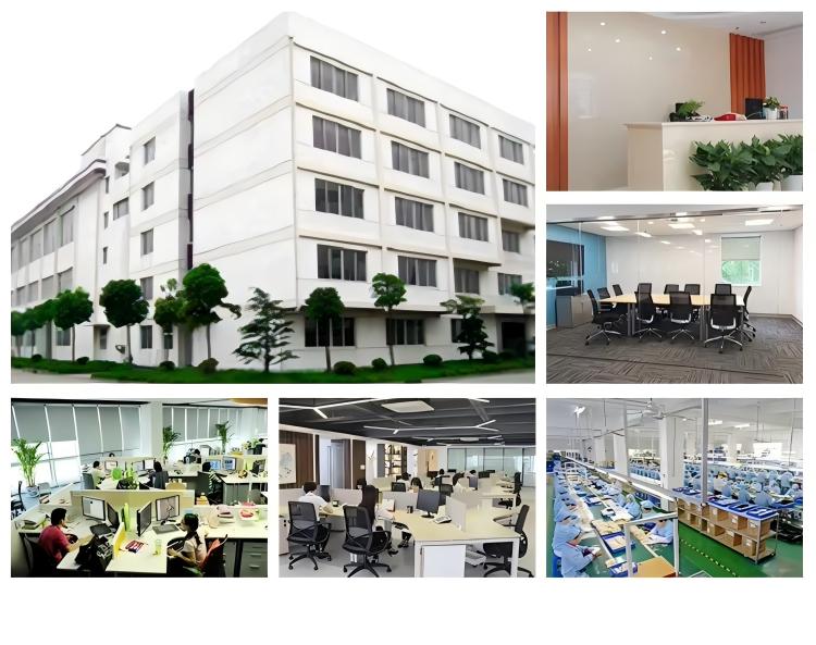 Company Showcase
