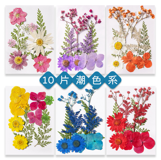 Hot Sale Eco-Friendly DIY Art Crafts Dried Pressed Flower Kits Scrapbooking Epoxy Resin Jewelry Molds Mother's Day Easter Day