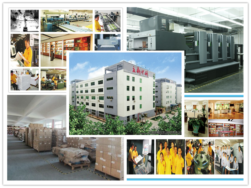 Company Overview