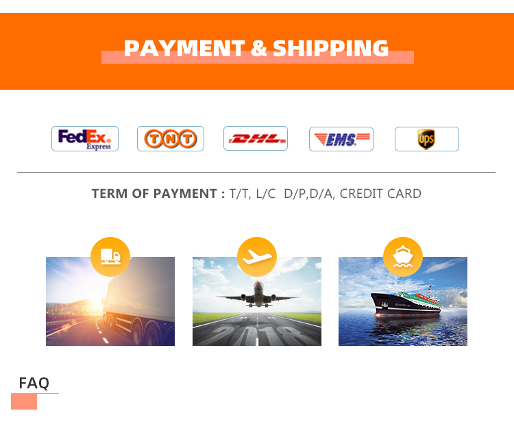 Payment and Shipping