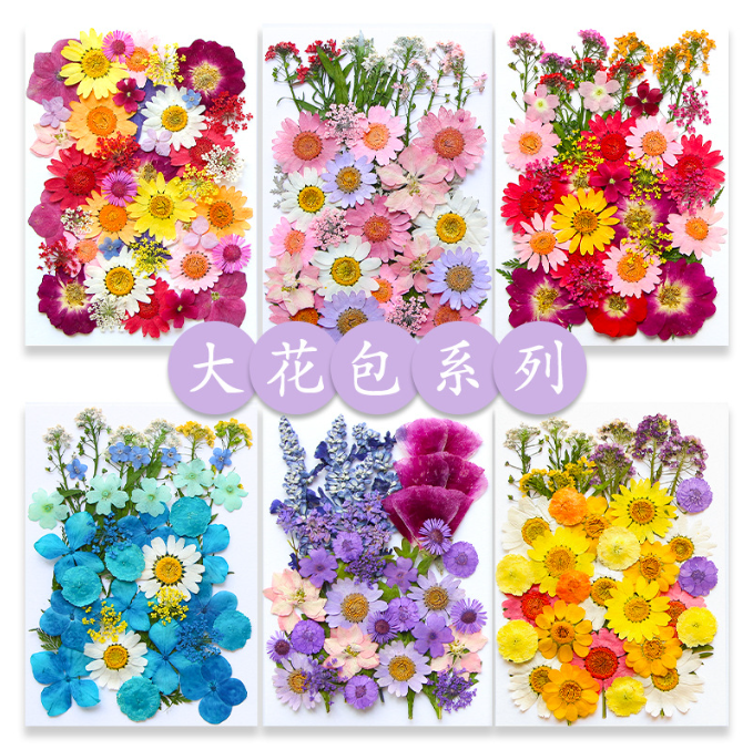 Hot Sale Eco-Friendly DIY Art Crafts Dried Pressed Flower Kits Scrapbooking Epoxy Resin Jewelry Molds Mother's Day Easter Day