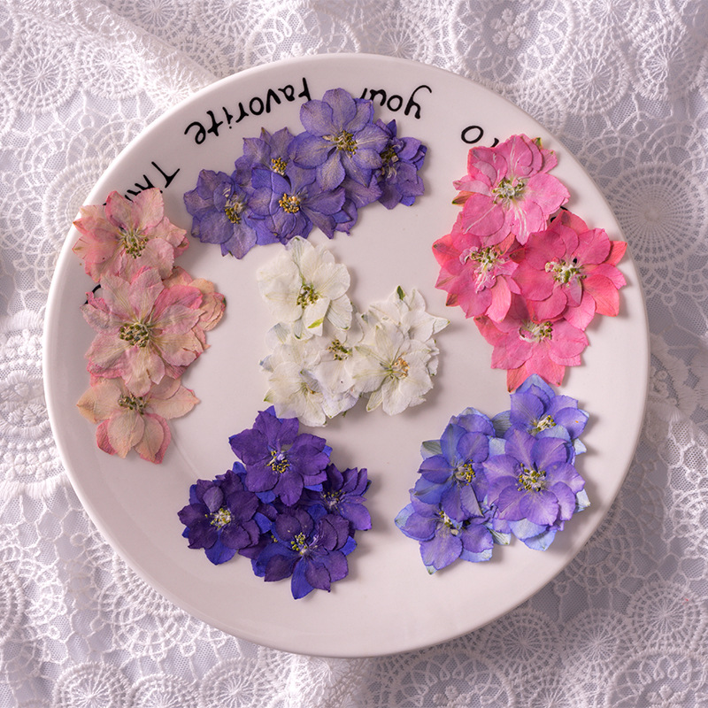 Dried Flower 4