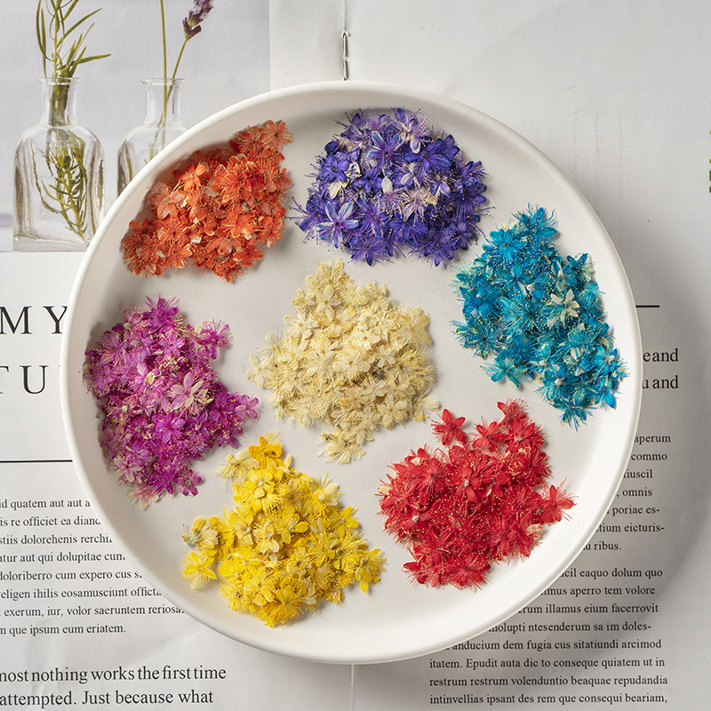 Dried Flower 2