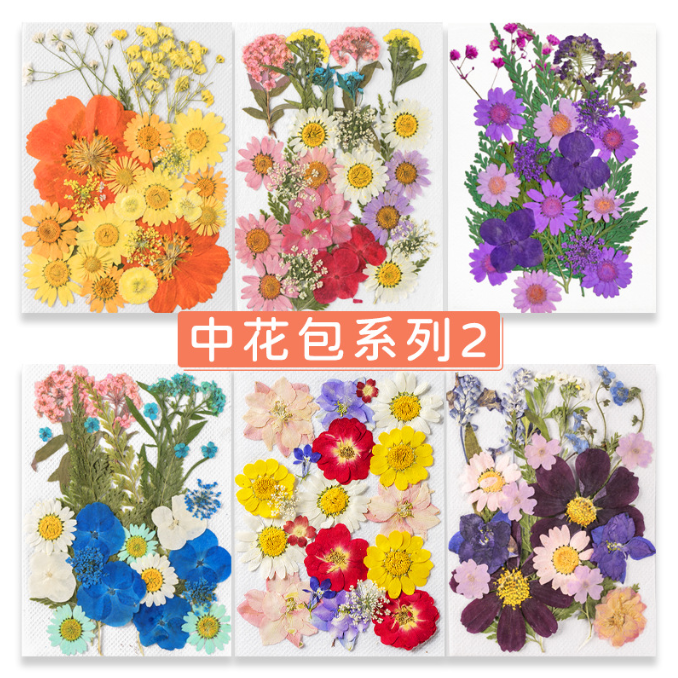 Dried Pressed Flower Style 3