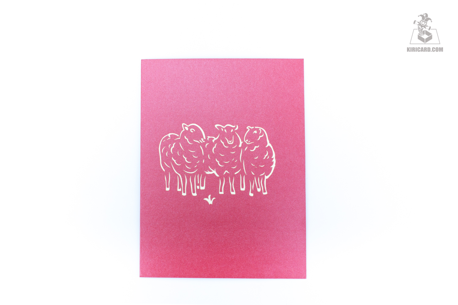 Product detail 9