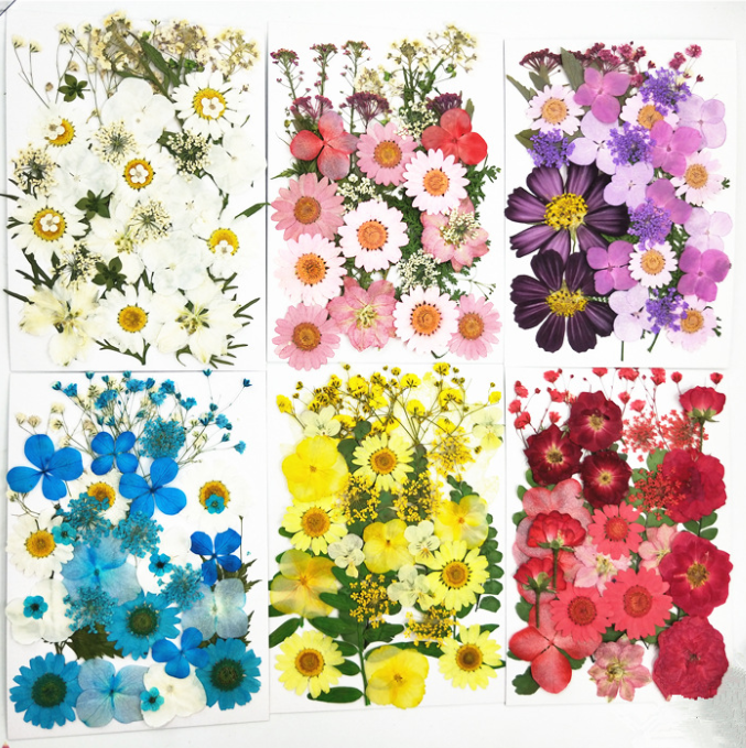 Hot Sale Eco-Friendly DIY Art Crafts Dried Pressed Flower Kits Scrapbooking Epoxy Resin Jewelry Molds Mother's Day Easter Day