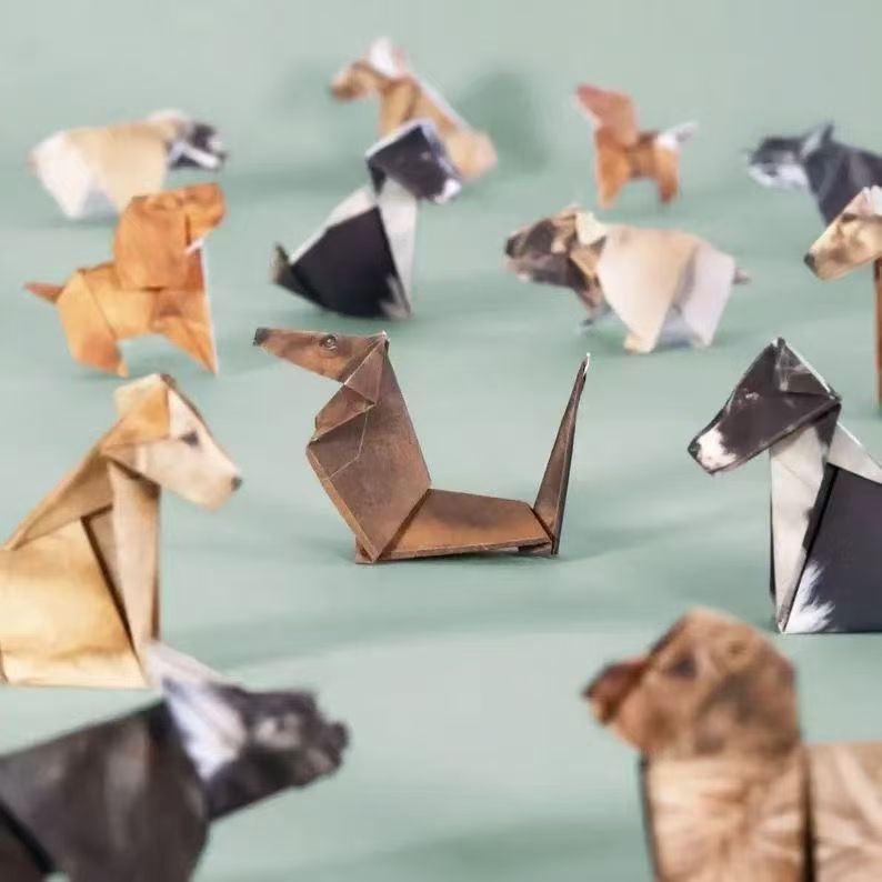 New DIY Paper Cats &amp; Dogs Origami Folding Animal Craft Kit with Boxed Packaging-50pcs