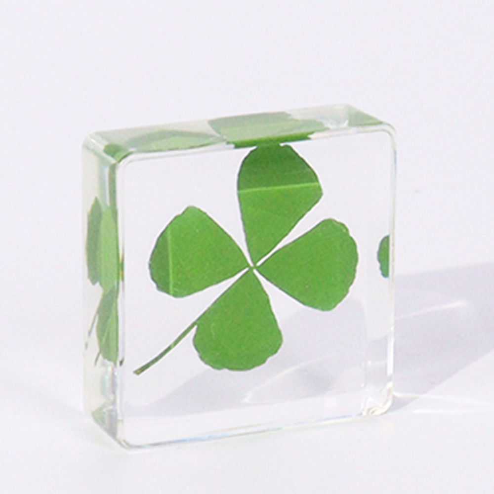 Hot Selling Real Plants &amp; Animal Insect Specimen In Crystal Resin Crafts Creative Toys For Home Learning