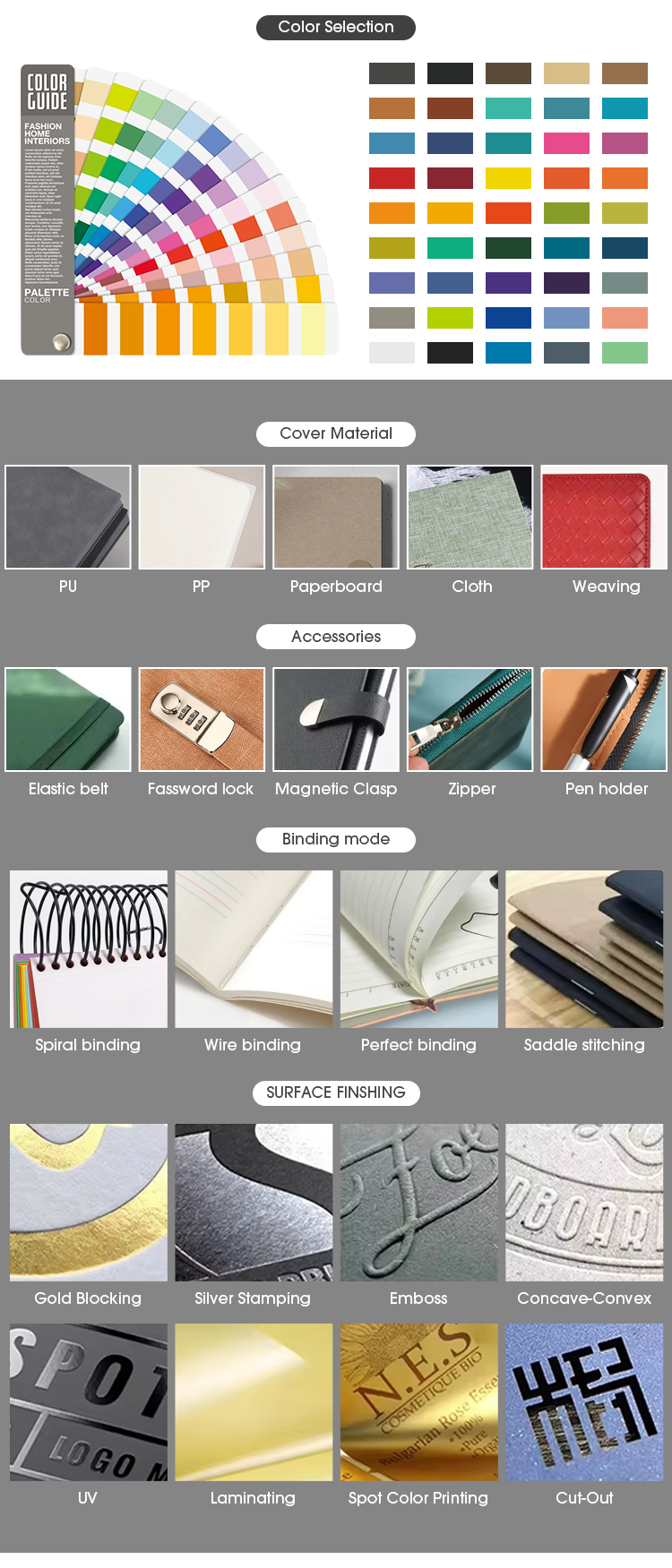 Showcase Image 1