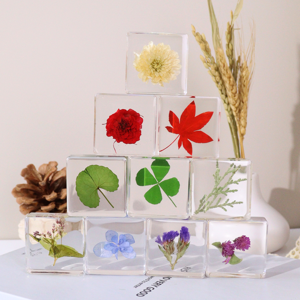 Hot Selling Real Plants &amp; Animal Insect Specimen In Crystal Resin Crafts Creative Toys For Home Learning