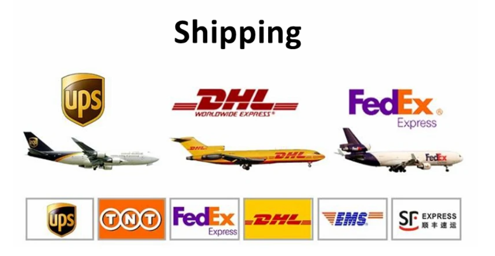 Packaging Logistics Option