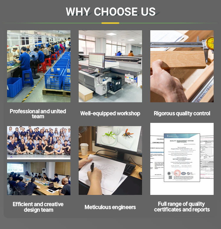 Why Choose Us infographics