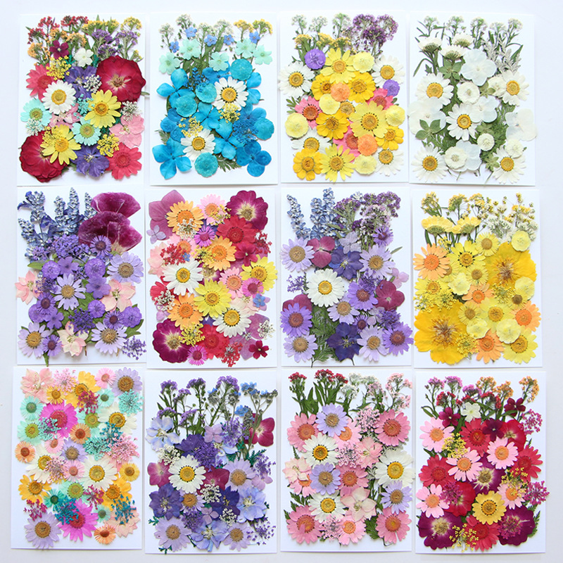 Dried Flower Detail 1