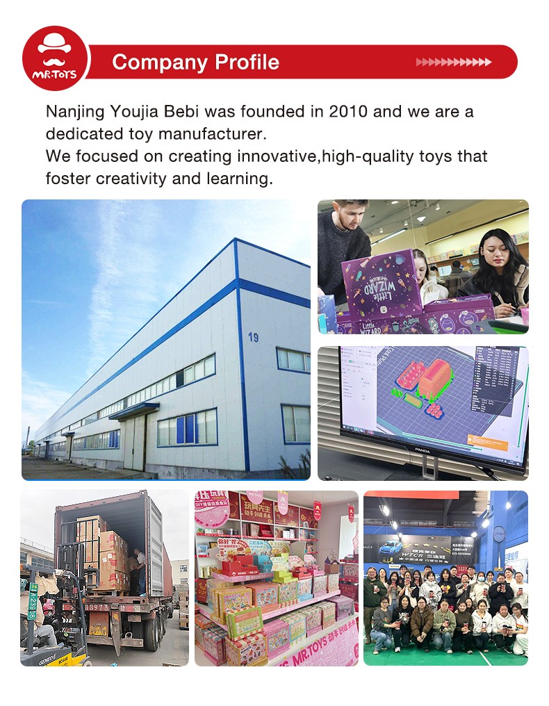 Company Profile Details 1