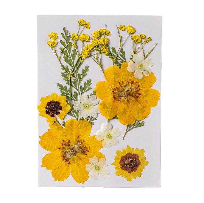 Hot Sale Eco-Friendly DIY Art Crafts Dried Pressed Flower Kits Scrapbooking Epoxy Resin Jewelry Molds Mother's Day Easter Day