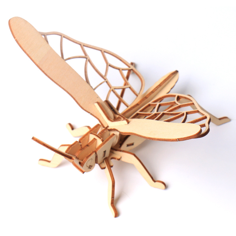 Custom Wood 3D DIY Assembled Puzzle Pieces Educational Toy Science Wooden Puzzle Kits for Kids