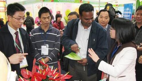 Exhibition Booth 2