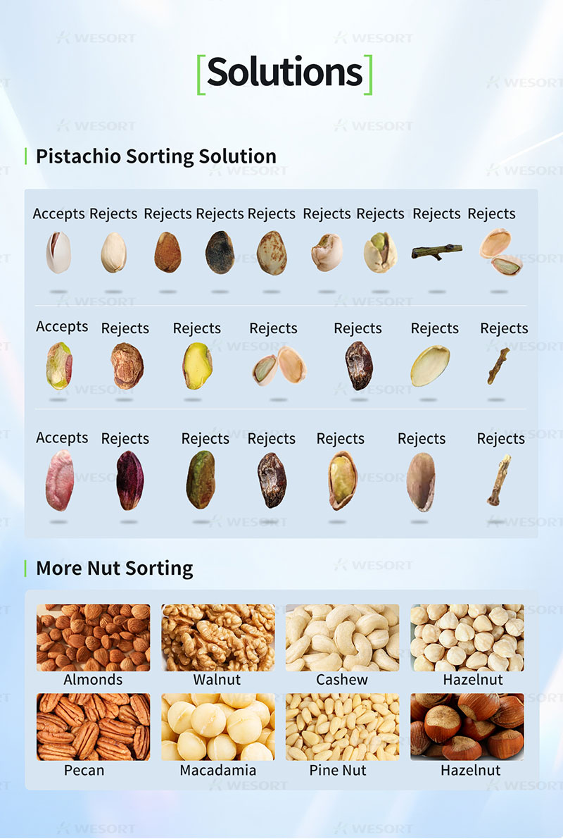 Nut seeds color sorter view 2