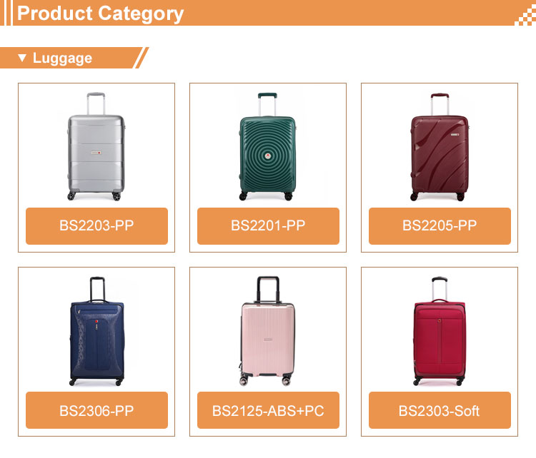 Custom Luggage Series 2