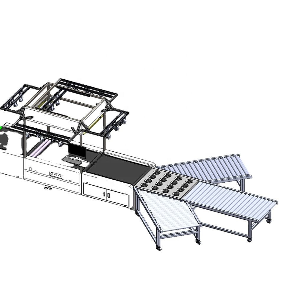Automated Parcel Sort Packing Machine Wheel Sorter Dws Sorting System