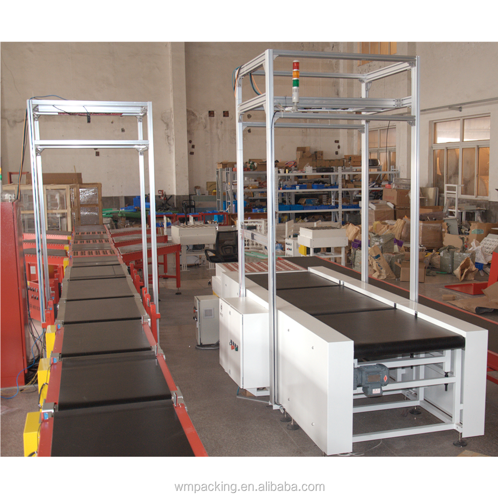 Singulation Conveyor System Detail