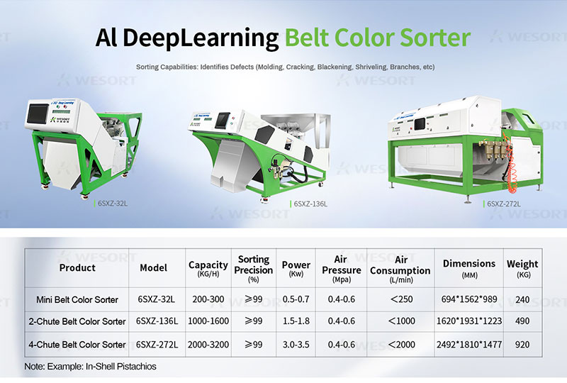 Nut seeds color sorter view 6