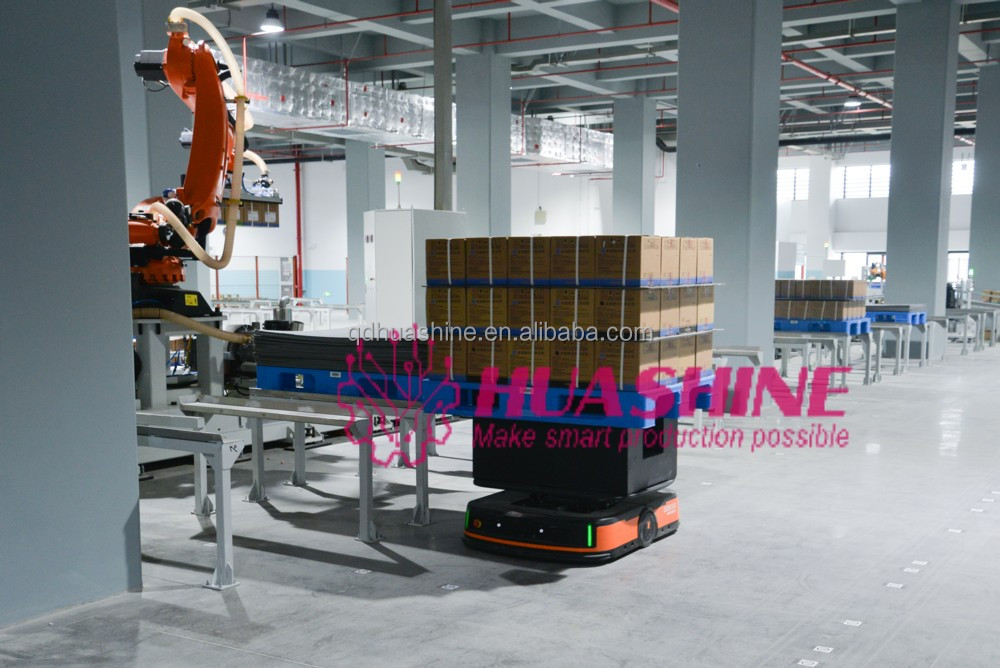ASRS with RGV Shuttle System
