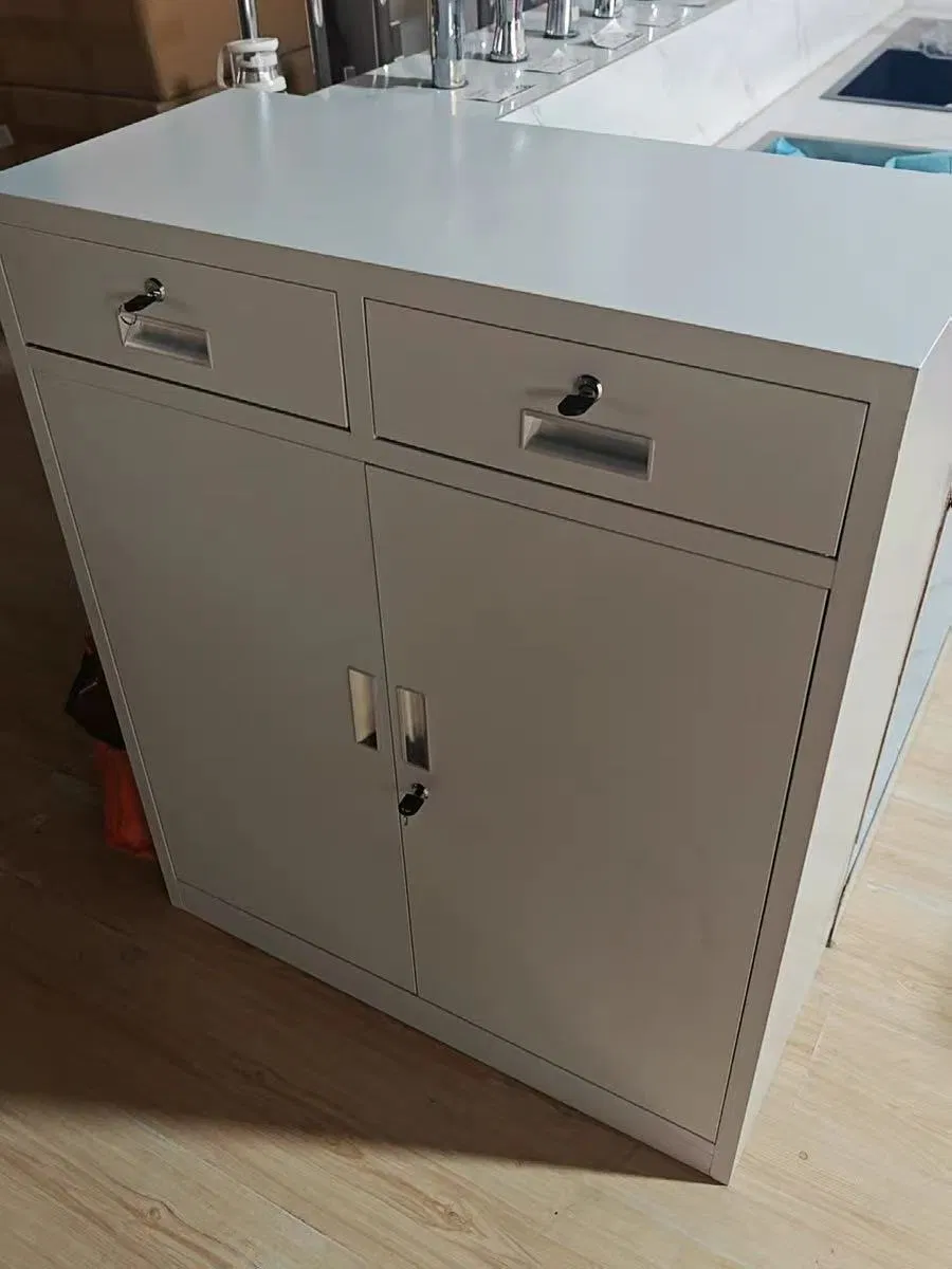 OEM High-Quality Steel File Cabinet with Adjustable Shelves for Organized Document Storage