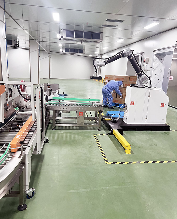 20Kg 25Kg 30Kg Automatic Loading and Unloading Stacking Robot Palletizer Machine