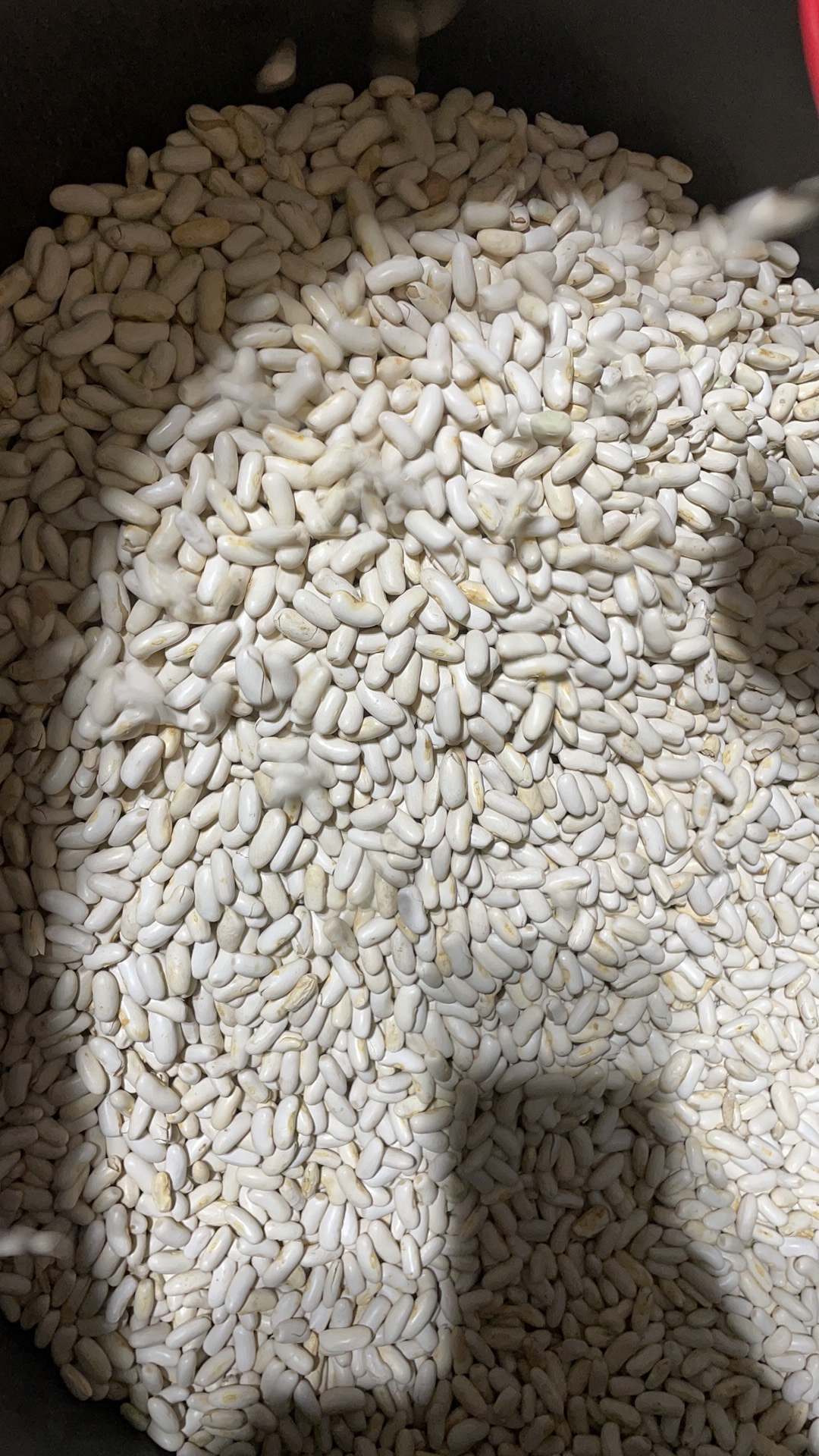 Switzerland Beans Optical Sorter Intelligent CCD Color Sorting Machine White Beans Different Colors CE Certification