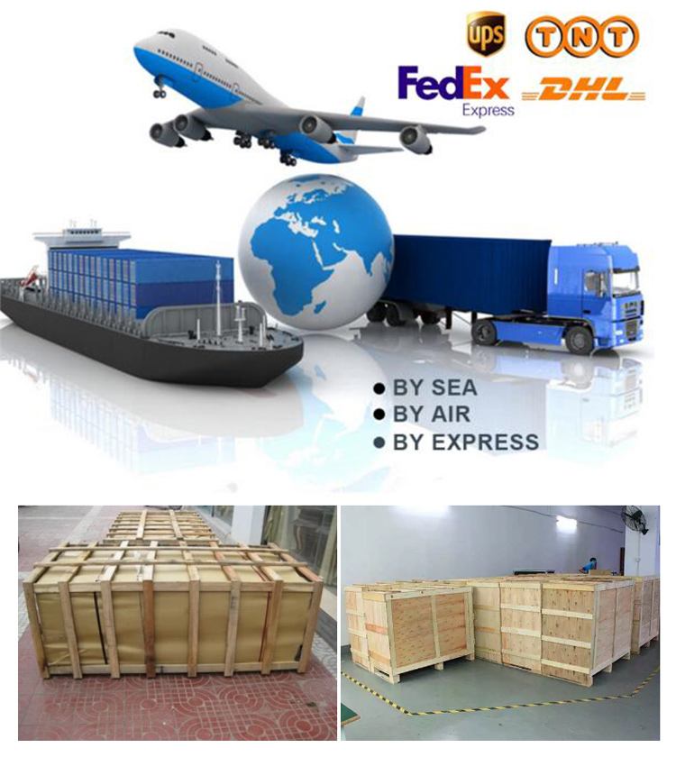 Packing & Shipping process