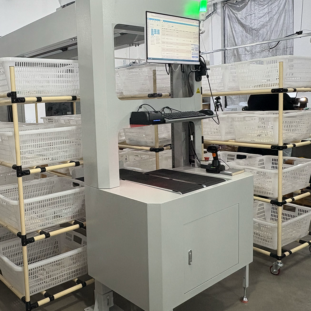 Truelisort Reliable Automatic Parcel Sorter Wall Type 3D Sorting Machine Intelligent Control Warehouse Sorting